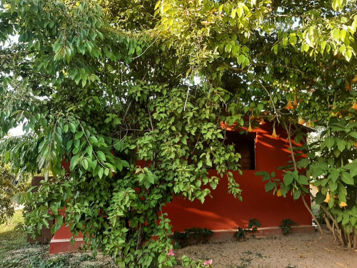 Casa Di Campagna Dal Pozzo Sorso Kültér fotó