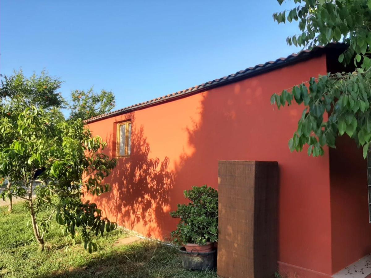Casa Di Campagna Dal Pozzo Sorso Kültér fotó