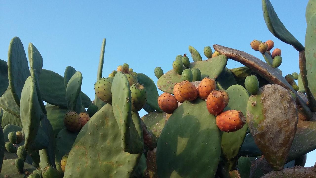 Casa Di Campagna Dal Pozzo Sorso Kültér fotó