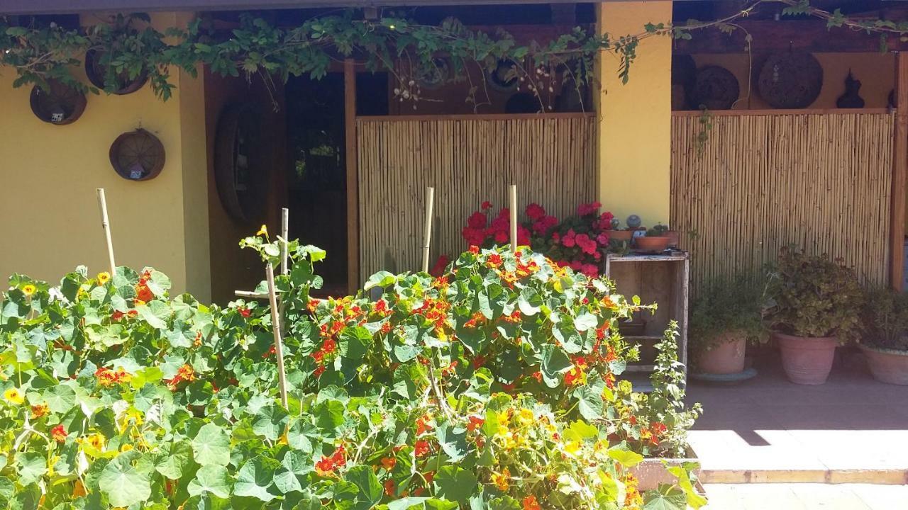 Casa Di Campagna Dal Pozzo Sorso Kültér fotó